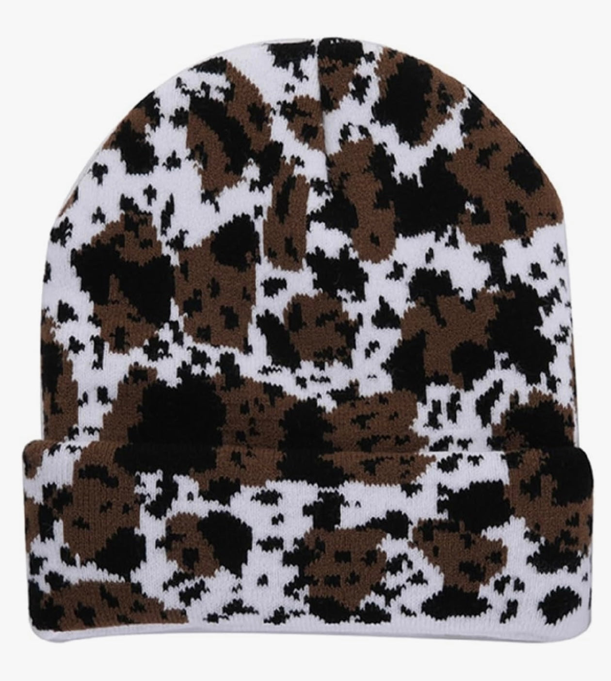 Cheetah 2