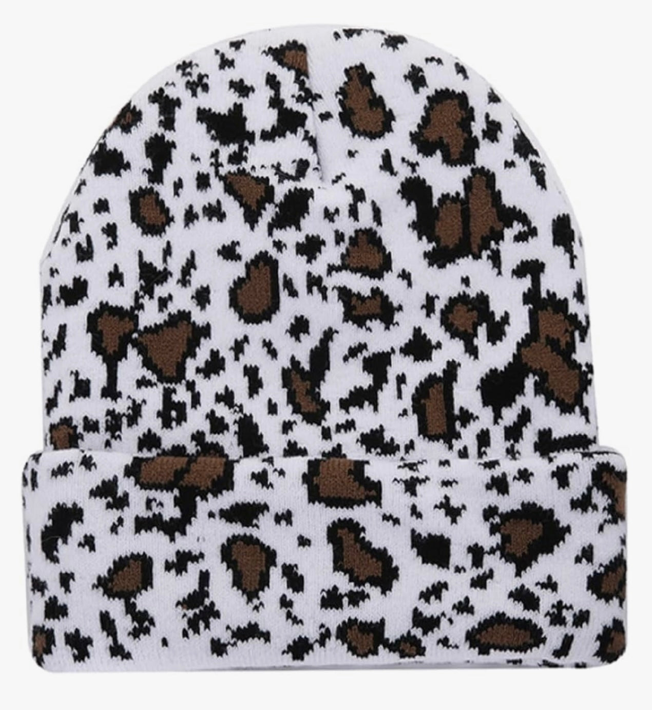 Cheetah 1