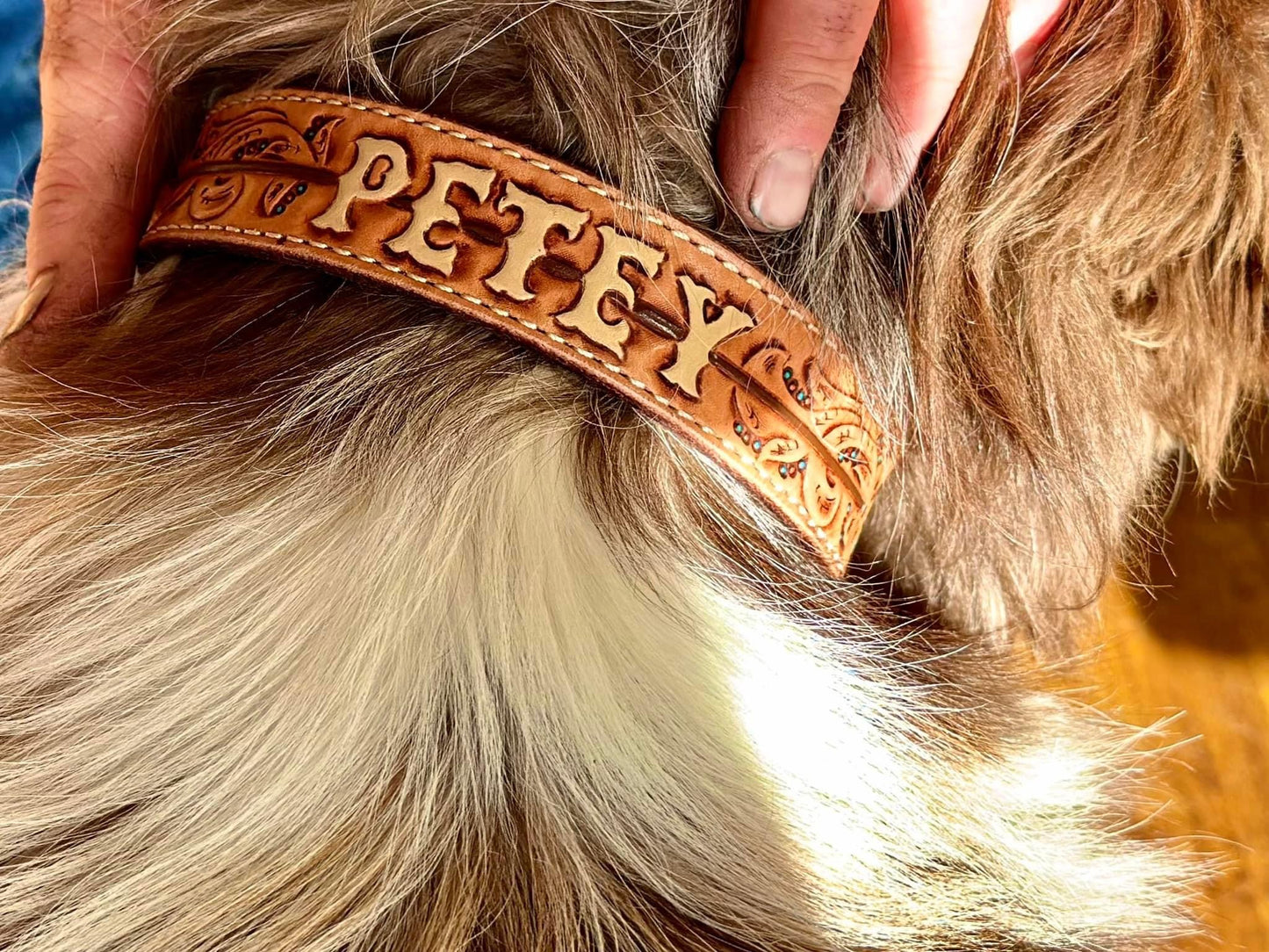 Dog Collar-Deposit