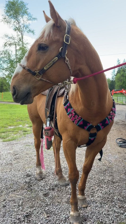 Custom 100% Mohair Breast Collar-Deposit