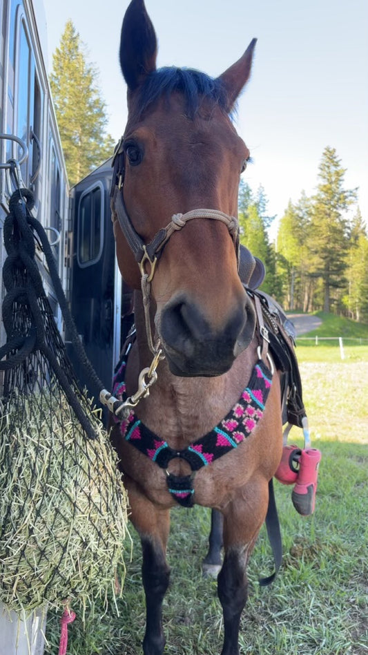 Custom 100% Mohair Breast Collar-Deposit